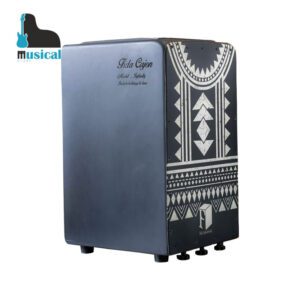 کاخن فیدا اینفینیتی